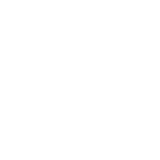 Celonis